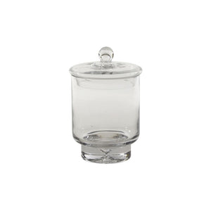 Asteridge Terrarium
