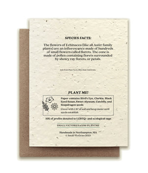 Echinacea Plantable Seed Card