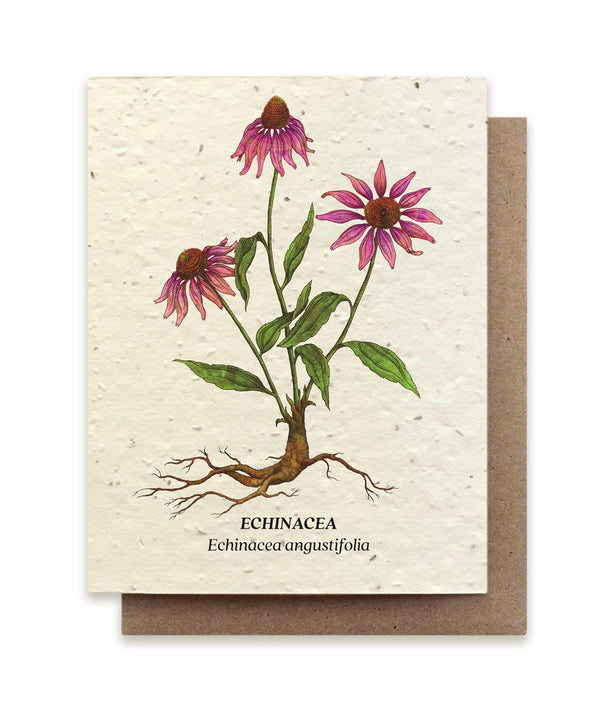 Echinacea Plantable Seed Card