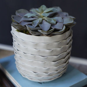 Artsi Pot