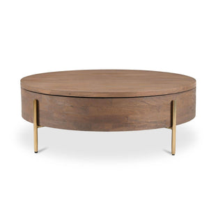 Alba Storage Coffee Table Brown
