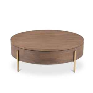 Alba Storage Coffee Table Brown