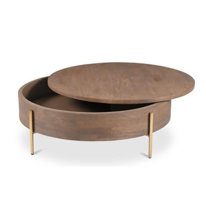 Alba Storage Coffee Table Brown