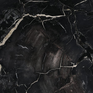 Petrified Wood and Metal Coffee Table