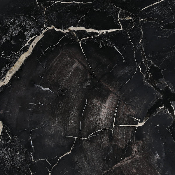 Petrified Wood and Metal Coffee Table
