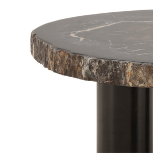 Petrified Wood and Metal Coffee Table