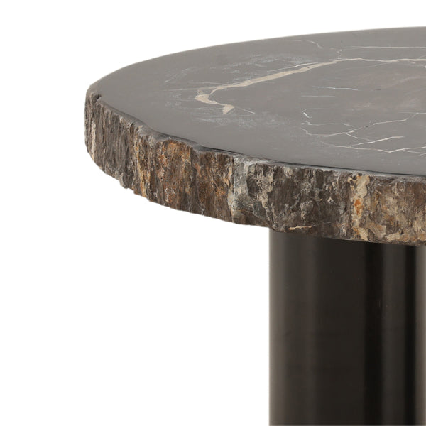 Petrified Wood and Metal Coffee Table