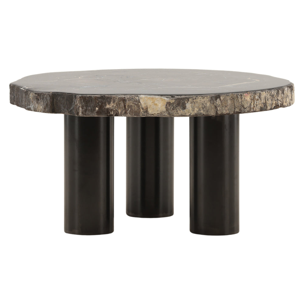 Petrified Wood and Metal Coffee Table
