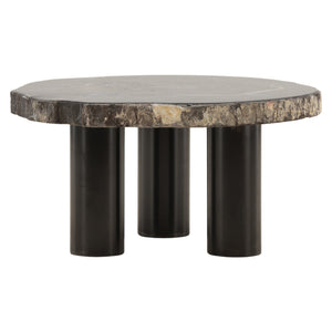 Petrified Wood and Metal Coffee Table