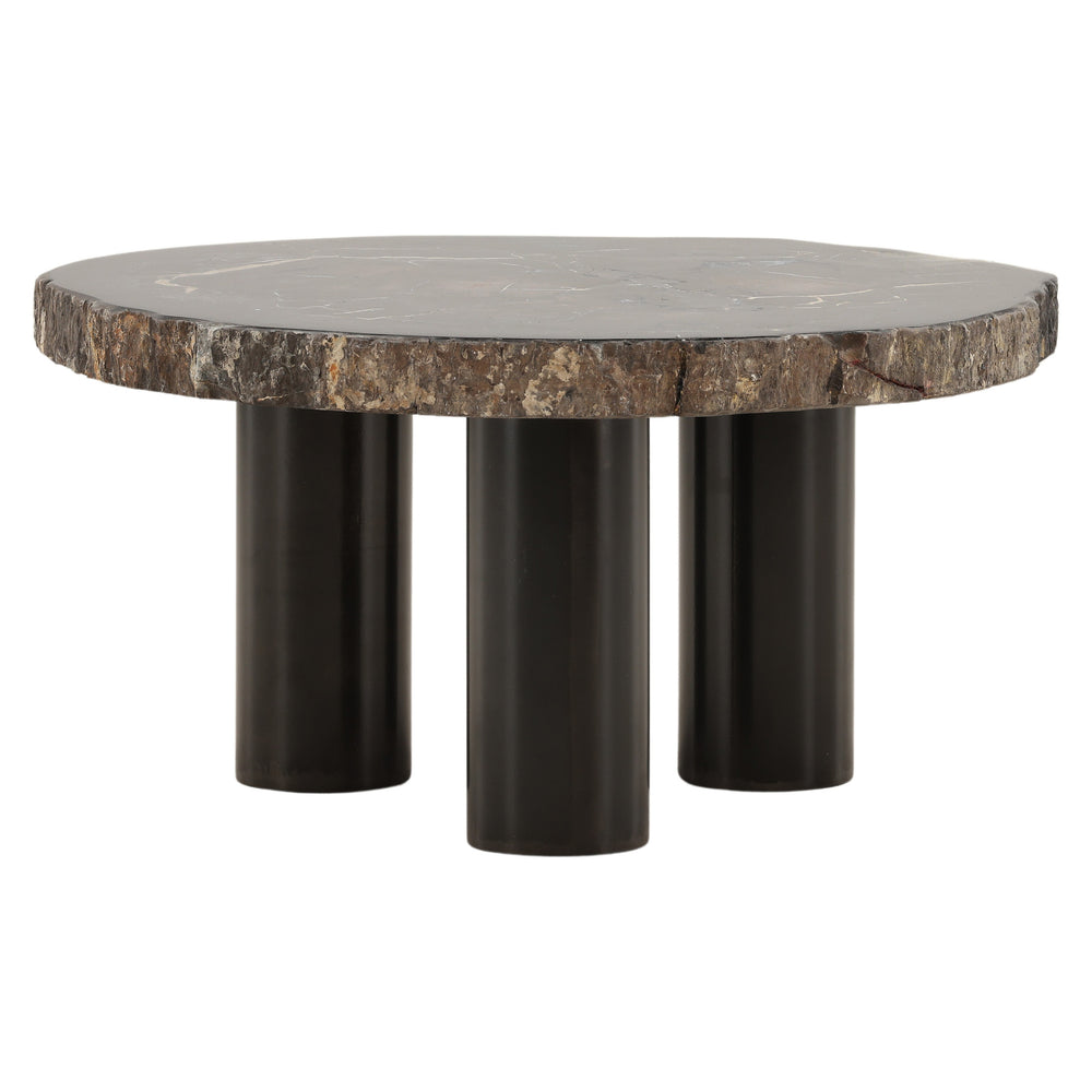 Petrified Wood and Metal Coffee Table