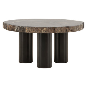 Petrified Wood and Metal Coffee Table