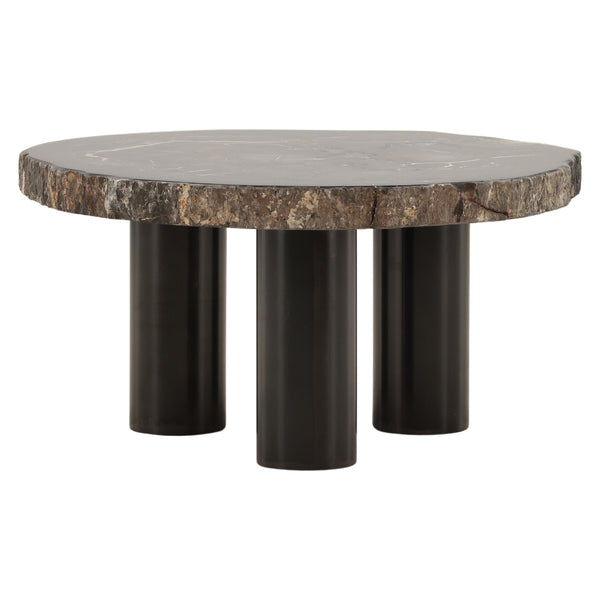 Petrified Wood and Metal Coffee Table