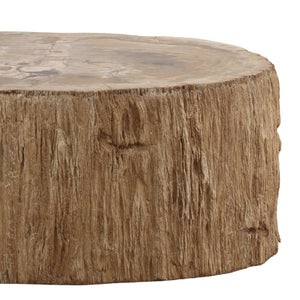 Petrified Wood Coffee Table
