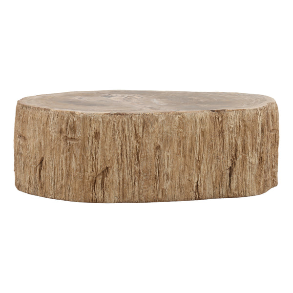 Petrified Wood Coffee Table