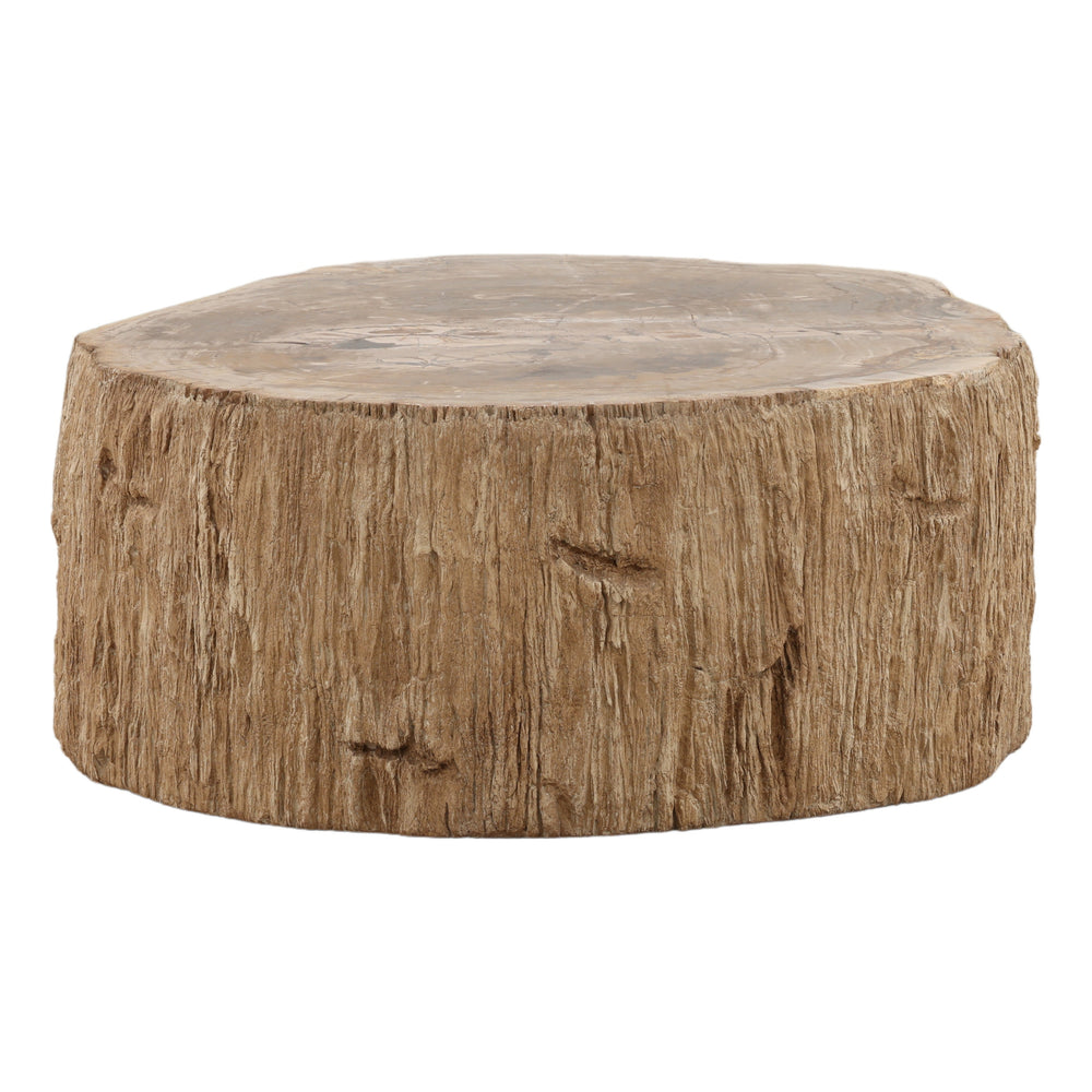 Petrified Wood Coffee Table