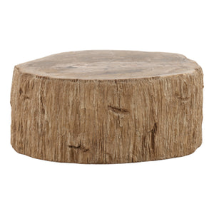 Petrified Wood Coffee Table