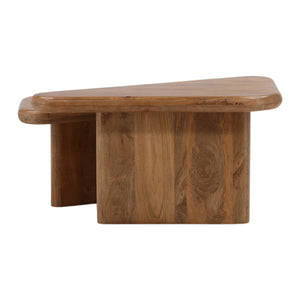 Nesting Mango Wood Coffee Tables - Set of 2