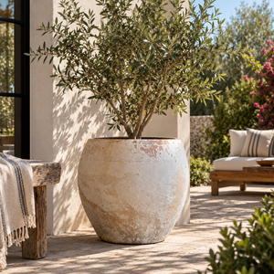 Large Clay Planter