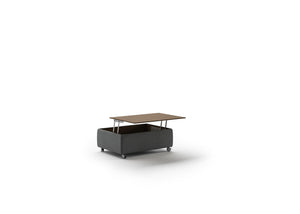 Functional Coffee Table by Luonto