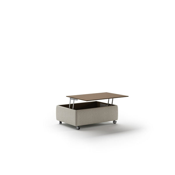 Functional Coffee Table by Luonto