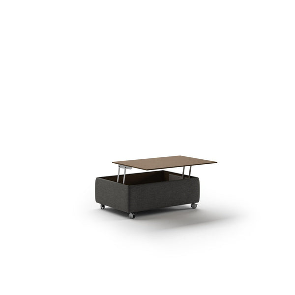Functional Coffee Table by Luonto