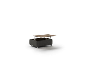 Functional Coffee Table by Luonto