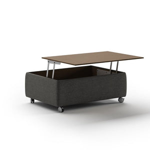 Functional Coffee Table by Luonto