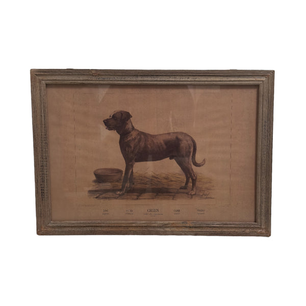 This vintage piece of art features a detailed illustration of a dog standing in profile, accompanied by labels in multiple languages: "Dog," "Hund," "Chien," "Cane," and "Perro." The artwork is framed in a rustic, weathered wooden frame that enhances its antique charm. Ideal for adding a touch of timeless elegance to any room, this piece is perfect for dog lovers and collectors of vintage decor.