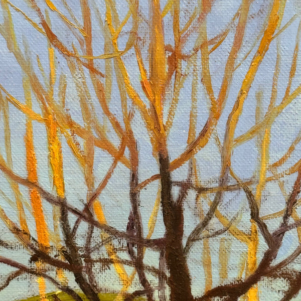 Golden Hour Glow: Winter Hills by Diane Che