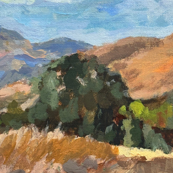 Mount Diablo by Diane Che