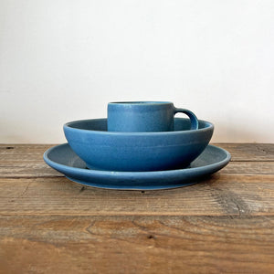 Daily Ritual Dinner Plate in Blue