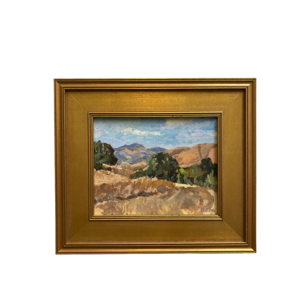 Mount Diablo by Diane Che