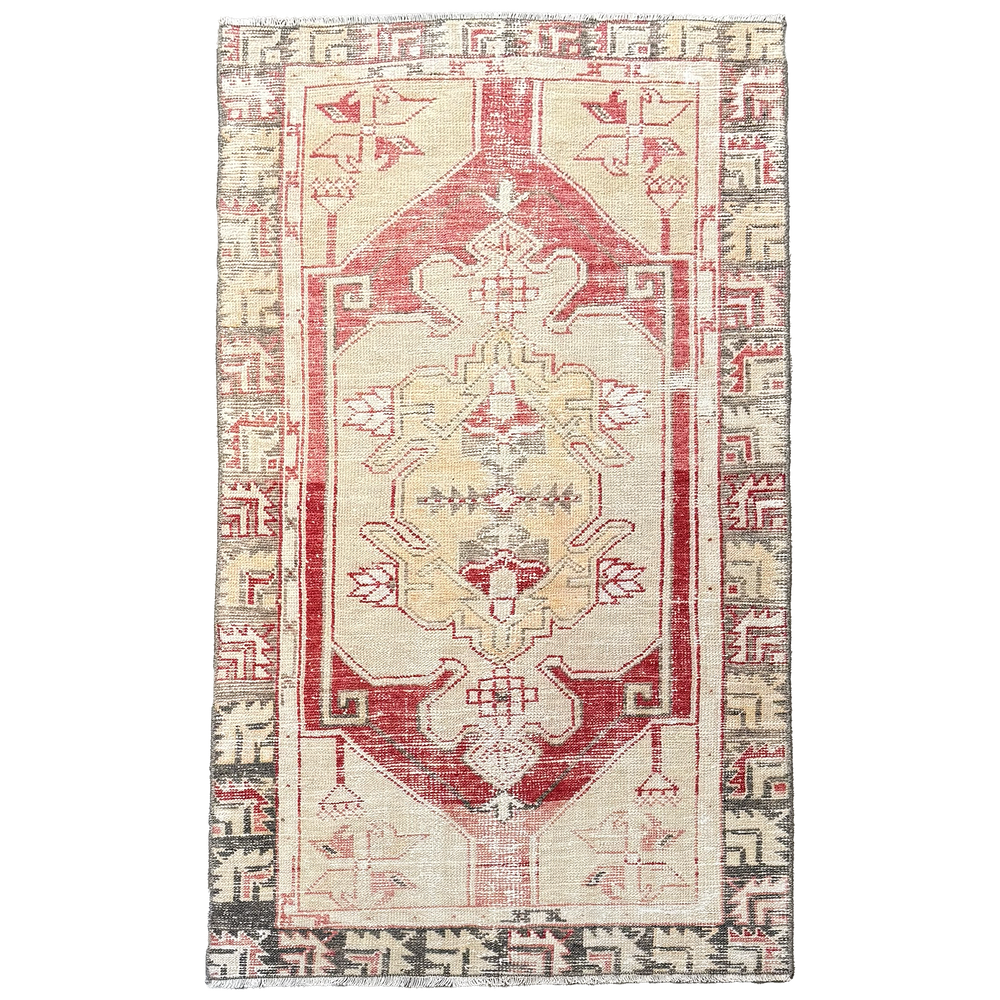 Moroccan Accent Rug • 2'8” x 4'5"