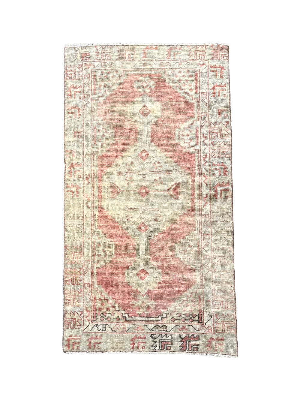 Moroccan Accent Rug • 2'4" x 4'11"
