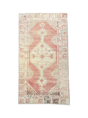 Moroccan Accent Rug • 2'4" x 4'11"