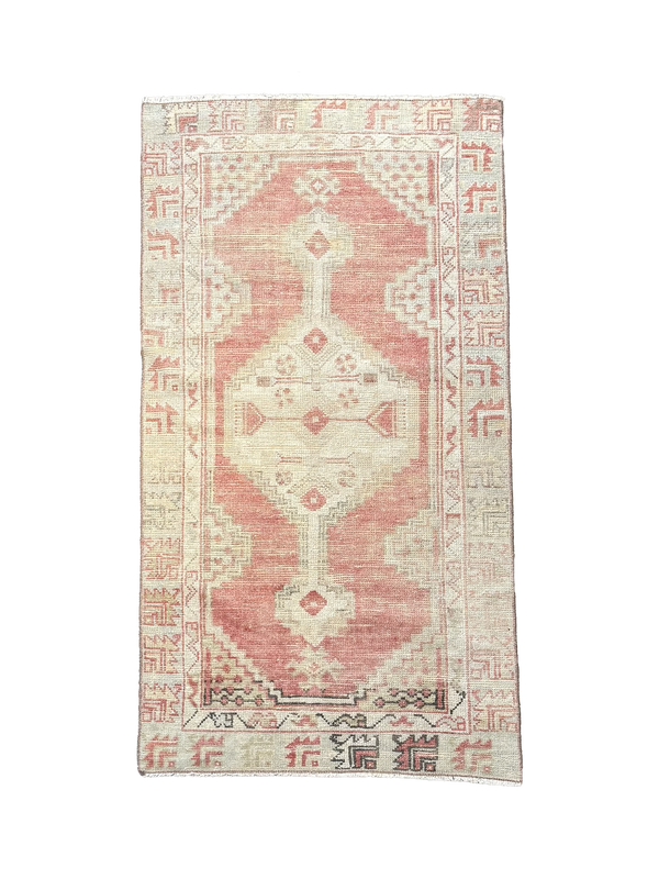 Moroccan Accent Rug • 2'4" x 4'11"
