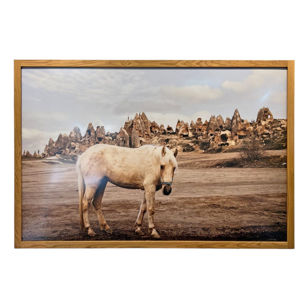Large photo print of horse in turkey by michelle mosqueda