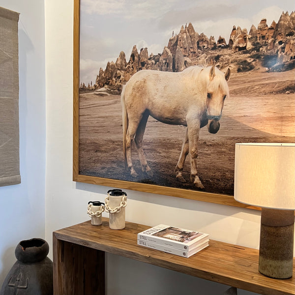 Framed photograph of horse in deKor atwater village showroom