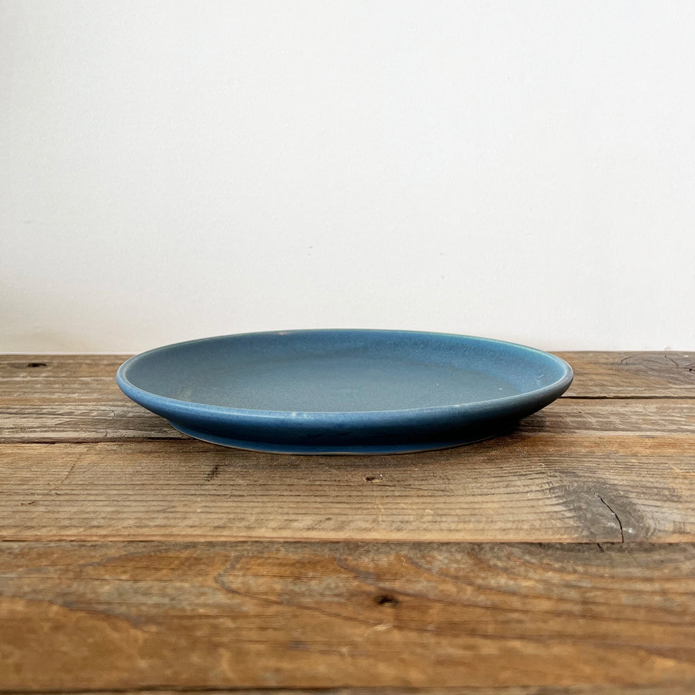 Daily Ritual Dinner Plate in Blue
