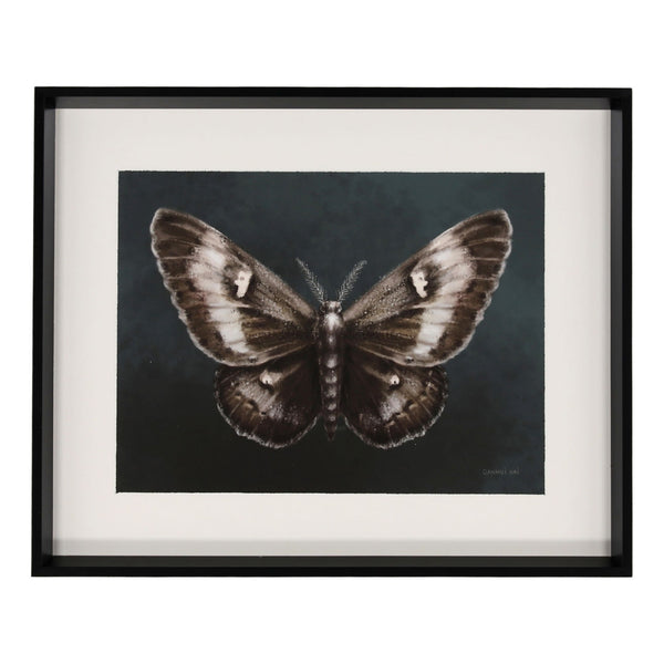 Elegant Moth I