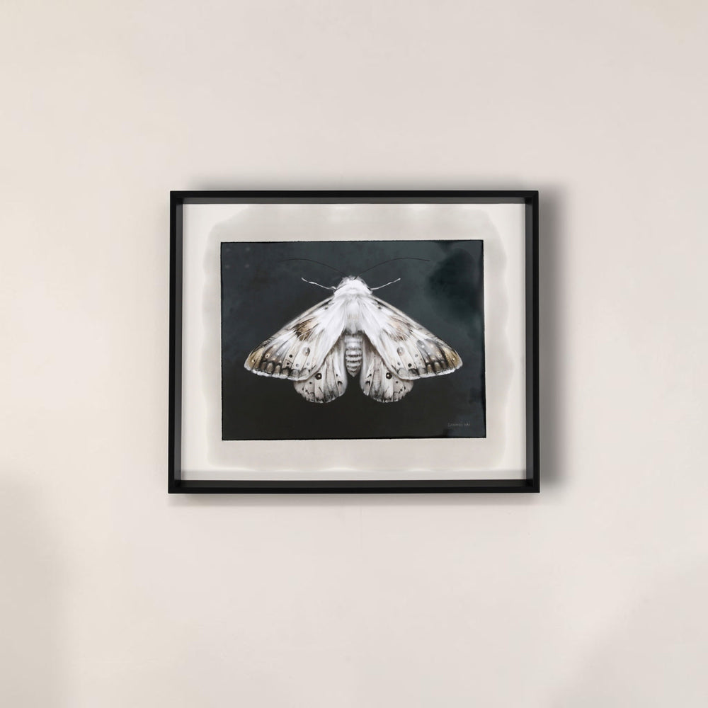 Elegant Moth II