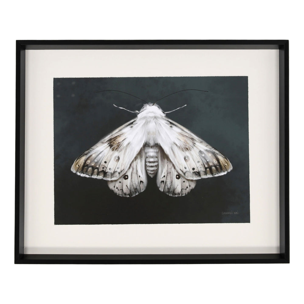 Elegant Moth II