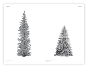 The Architecture of Trees
