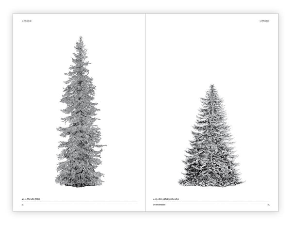 The Architecture of Trees