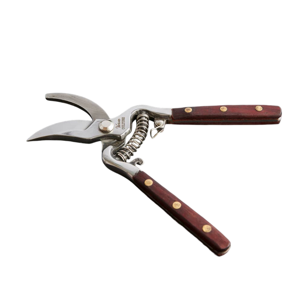 Thai Kitchen & Garden Shears