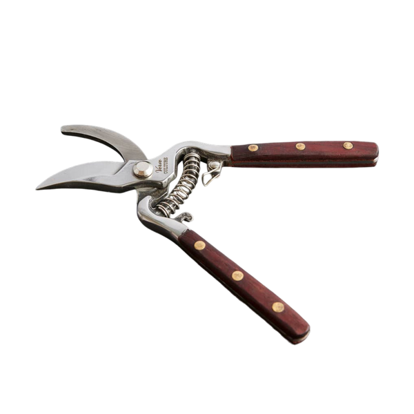 Thai Kitchen & Garden Shears