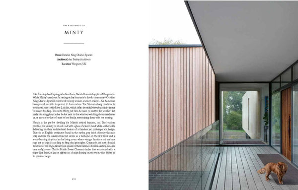 Resident Dog (Volume Two)