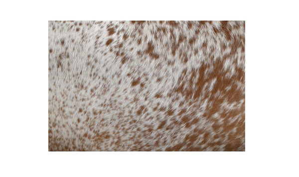 Walden Lounge Chair Speckled Hair On Hide