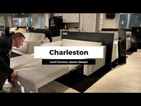 Charleston Queen Size Sleeper by Luonto