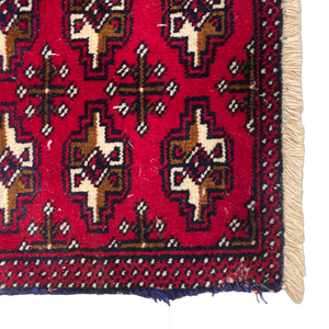 Turkmen Rug • 1'8" x 3'10"